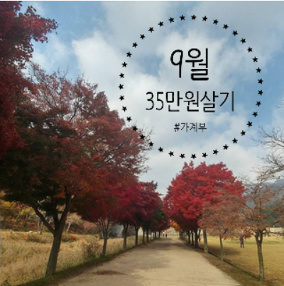  [가계부] 한달 35만원 살기 / 9월 16일