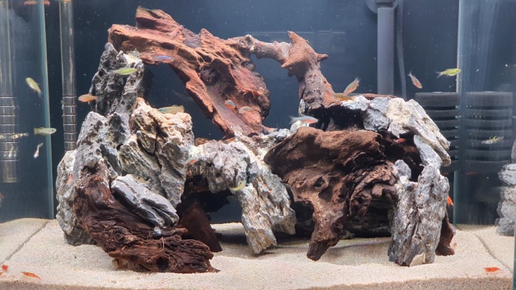  수석과 유목이 어우러진 가재집 레이아웃