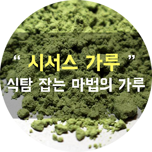  시서스가루 , 식탐 잡는 마법의 가루 (?)