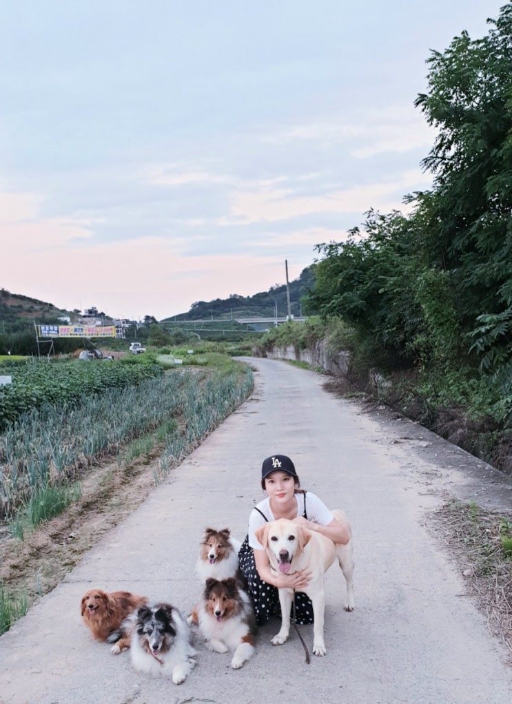  댕댕이들과 동네 한바퀴~