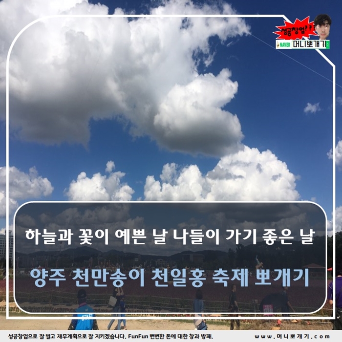  국내 가볼만한 가까운 여행지 양주 천만송이 천일홍 축제 뽀개기