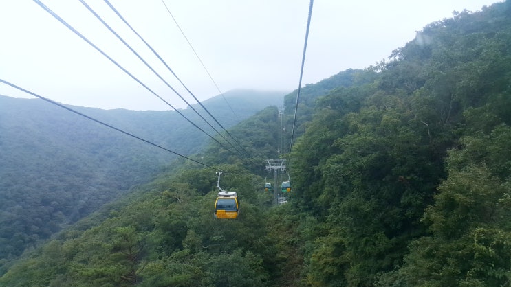  발왕산케이블카 - 19.09.14