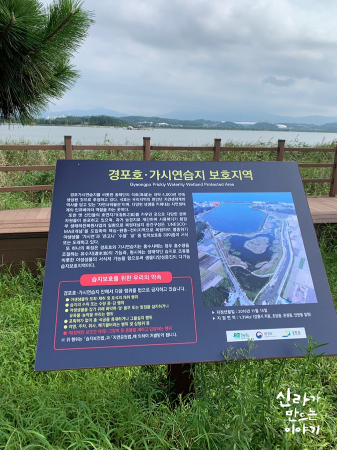  강릉여행 경포호수