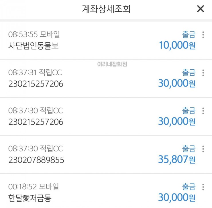  살아생전 처음으로 후원이란 걸 해봤다...
