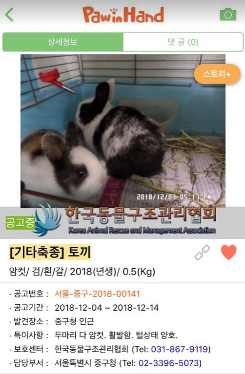 과학방송 홍보 x 유기동물 센터에서 토끼 입양한 이야기