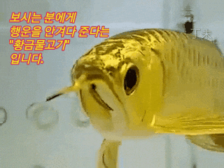  9억원 집주인이 서민?...서민형안심전환대출 조건두고 시끌