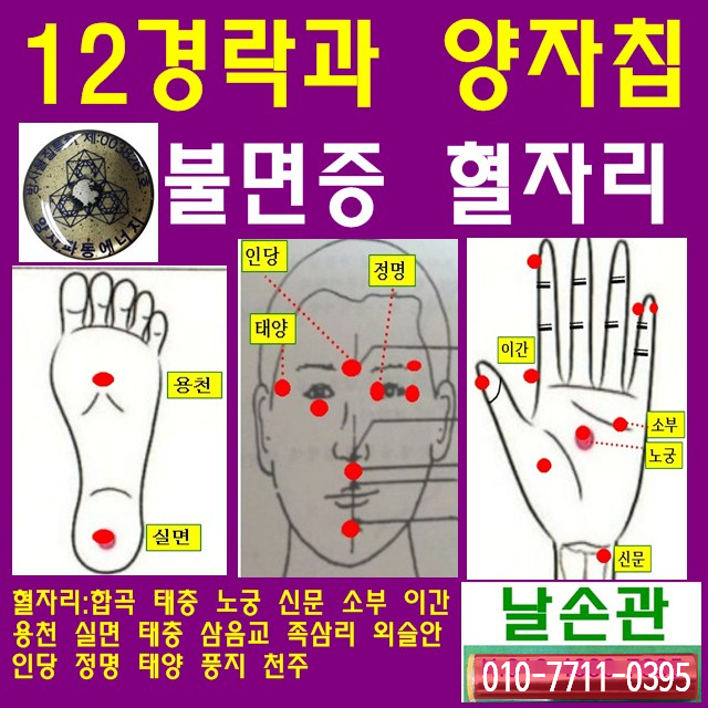  불면증 혈자리 12경락과 양자칩