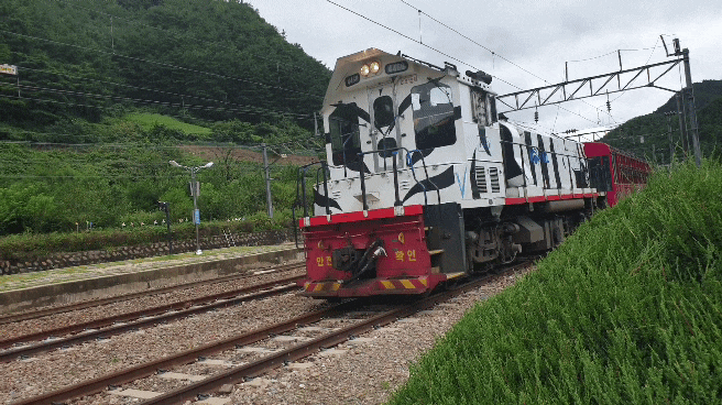  추석연휴 3박4일 국내여행~첫날/ 국립백두대간수목원 / Vtrain/ 분천산타마을/분천역-철암역