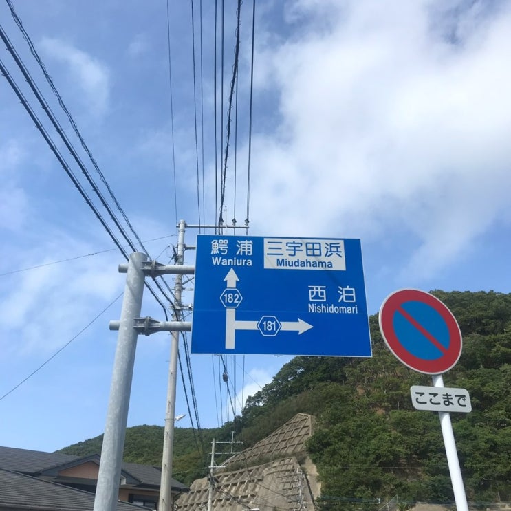  대마도 자유여행!!