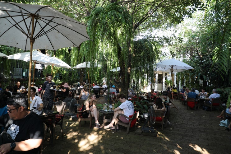  D+17 ④ 치앙마이 올드타운 카페 펀 포레스트 카페 fern forest cafe 엔틱하고 예쁜 정원의 치앙마이 카페