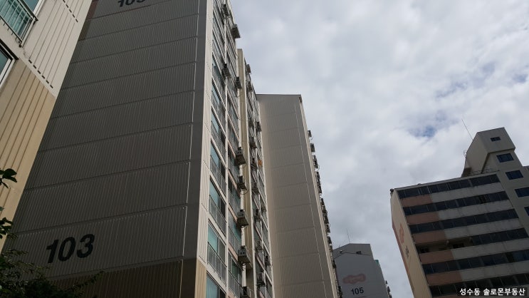  성수동아파트, 대림로즈빌 19년 9월3주 매물현황입니다