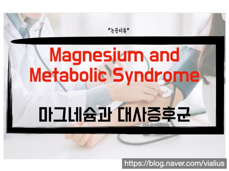 [영양제]마그네슘과 대사증후군(feat.논문 리뷰)