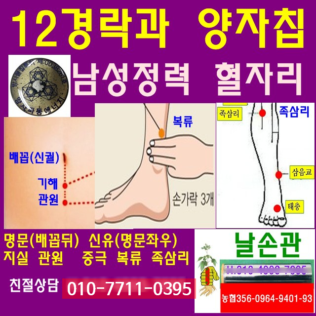  남성 정력강화 혈자리 12경락과 양자칩