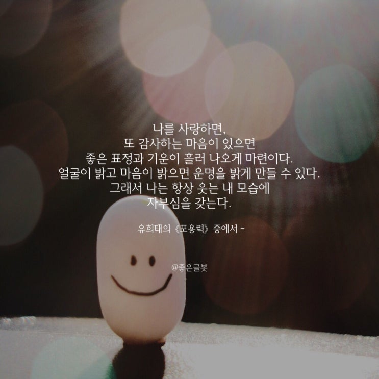  포용력