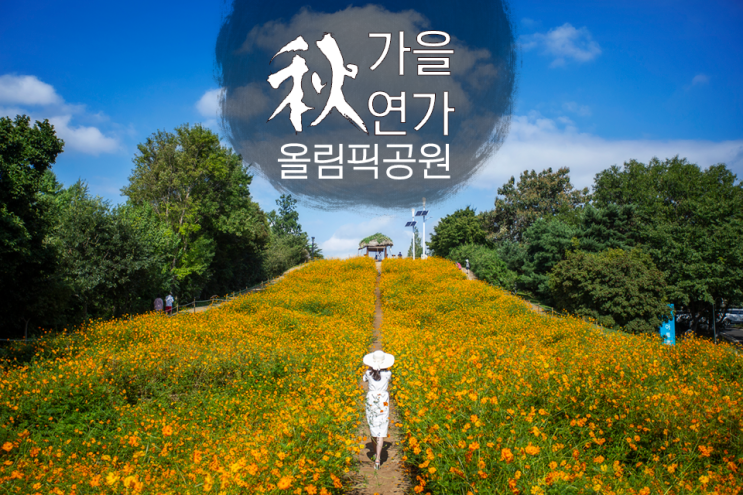  [인물사진] 가을연가, 올림픽공원 들꽃마루 황화코스모스와 장미정원 장미, 모델 현경양