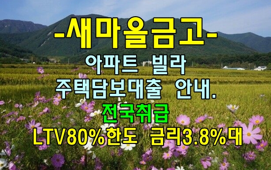  세종시 서울 경기 수도권 아파트 LTV 80%한도 금리 3.8%대 새마을금고 주택담보대출 안내.
