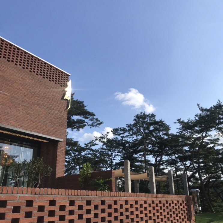  아프지망고