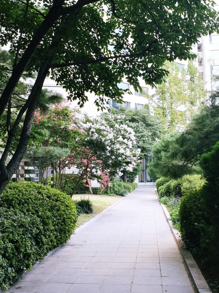  여름의 어느날, 같이사는 두 남자에게 감동받은 날을 기억하고자 기록한다.