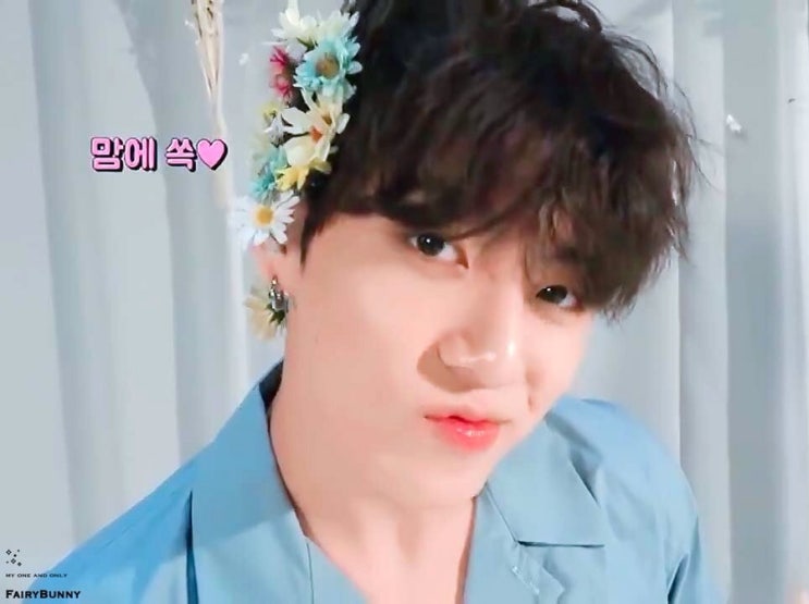  정국 해쉬스완 정국 열애설