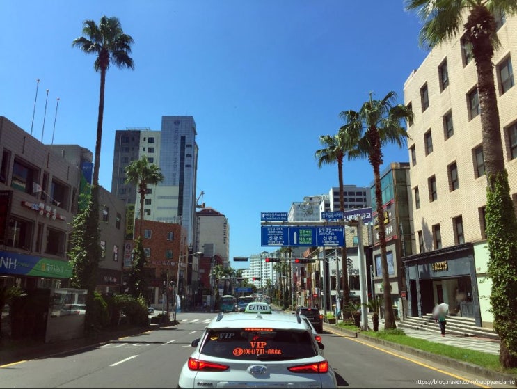  9월 제주도여행 준비 #3, 제주도 렌트카 예약, 카시트 예약 ft. 돌하루팡, 유모차친구