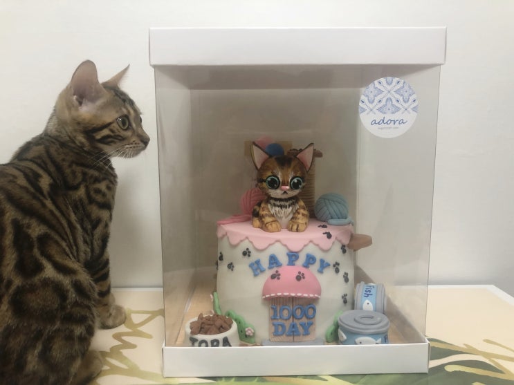 일상 :: ~190825 아직 끝나지 않은 여름 / 1000일 / 커플 폰케이스 일상 :: ~190825 아직 끝나지 않은 여름 / 1000일 / 커플 폰케이스