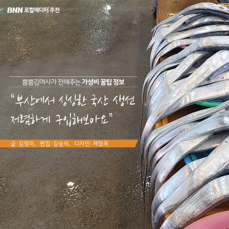 [부산IN신문] 뿜뿜 김여사가 전해주는 가성비 꿀팁 정보…싱싱한 국내산 생선 저렴하게 사는 법 ‘부산시 수협 자갈치 위판장’