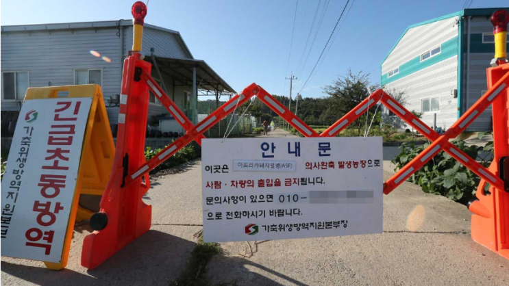  아프리카돼지열병, 사람은 안전한가?