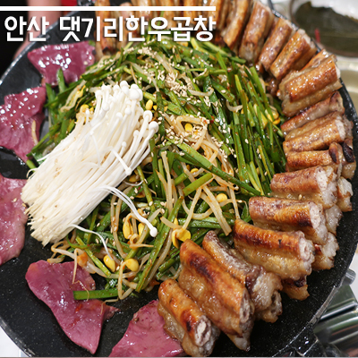  안산월피동곱창 <댓기리한우곱창> 쯔양이 다녀간 곱창 솔직후기 !