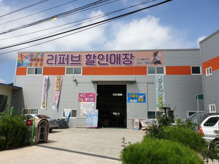  수지베이비 대구경북점