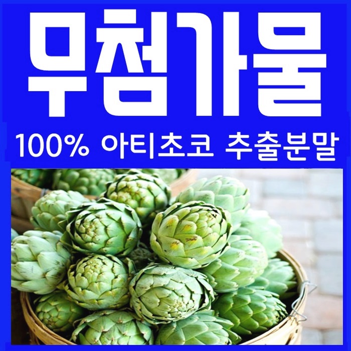  아티초크 분말 효능과 아티초코 가격 파는곳
