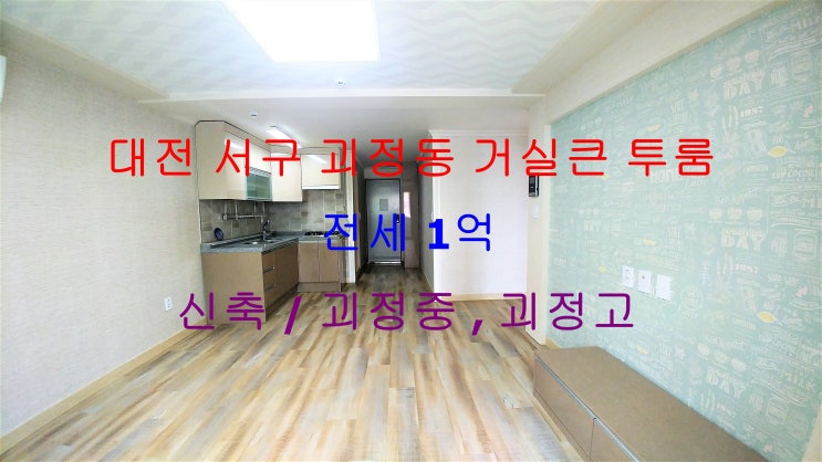 (대전 서구 괴정동) 괴정중, 괴정고 인근에 있는 깔끔한 신축! 거실큰 투룸 전세 매물입니다 ^^