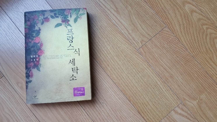  프랑스식 세탁소 / 정미경 