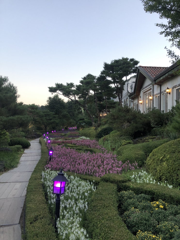  하늘물빛정원, 대전드라이브하기 좋은곳 :)