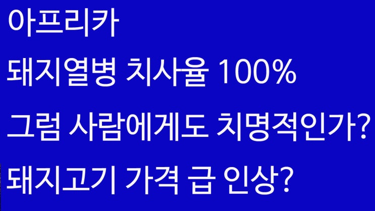 중국 아프리카 돼지열병 사람에게 어떤 피해주나? 돼지고기 가격 인상 관련주