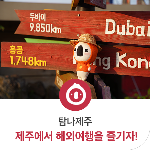  드르쿰다 IN 성산부터 제주 베니스랜드까지! 해외여행? 제주로가자!