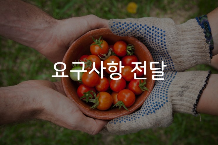 비전공자의 개발자 소통 방법 - 요구사항 전달 편