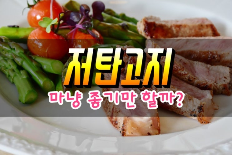  저탄고지 효능 및 부작용 심층분석