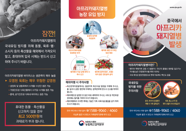  #아프리카 돼지열병 경기도 파주시 최초 발생!!