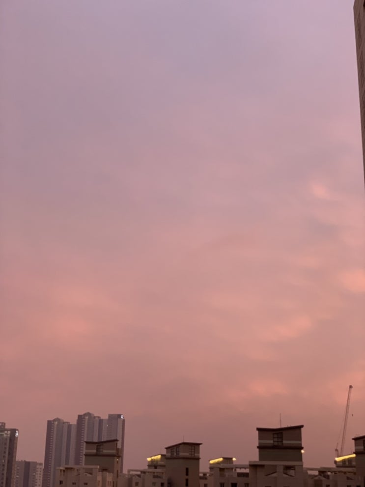  일상