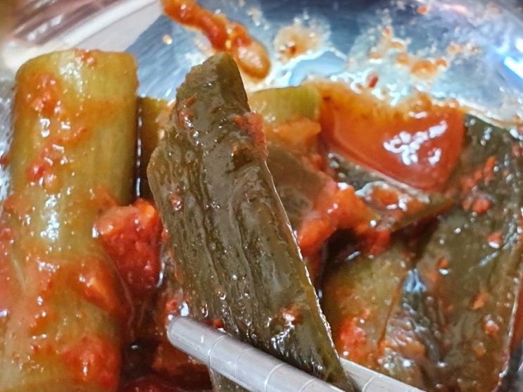  풋마늘김치~