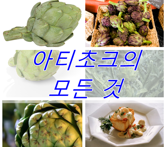  유럽의 불로초 아티초크 - 효능과 부작용 먹는법 고르는 요령 등등