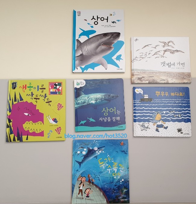  [어빵이와책] 수족관에서 만난 상어 (feat.웅진북클럽)