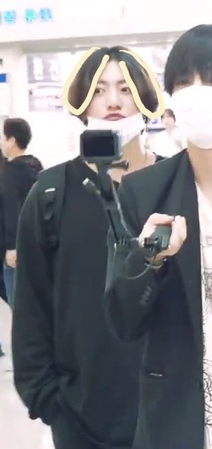 [방탄소년단 정국] 롭이어토끼의 귀같은 정국이의 머리카락