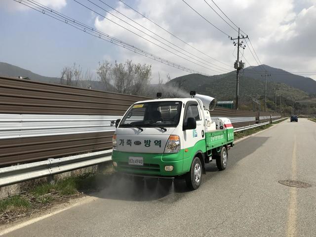  경기도 파주 아프리카돼지열병 확진 국내 첫 발생