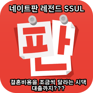  네이트판 타인의 삶 레전드썰 :: 결혼비용을 조금씩 달라는 시댁 대출까지?