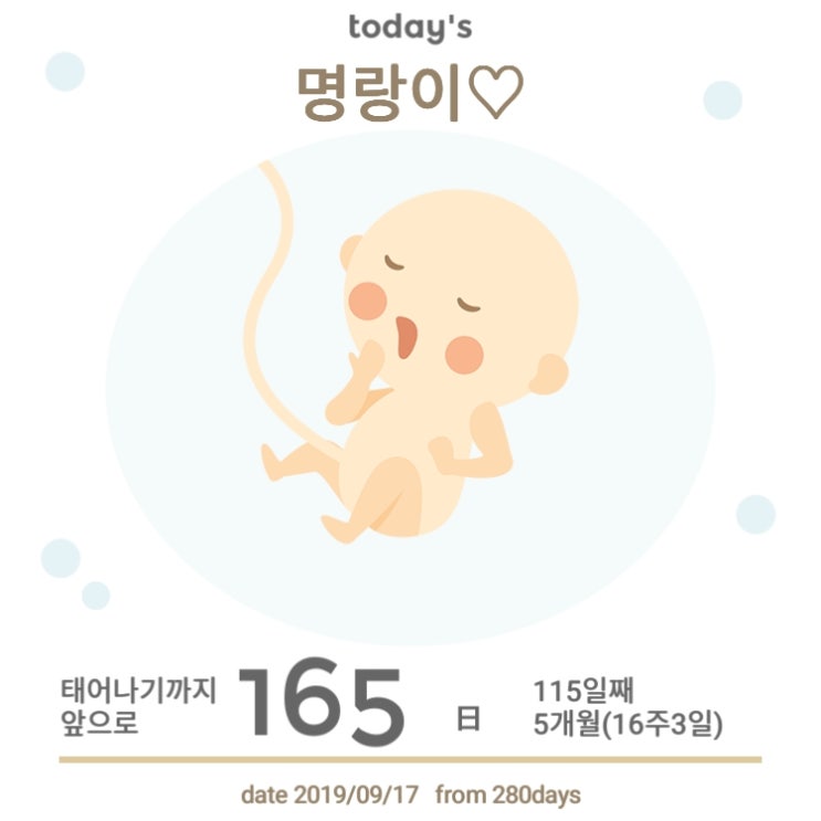23편 "아들??딸?? 그리고 태동" 23편 "아들??딸?? 그리고 태동"