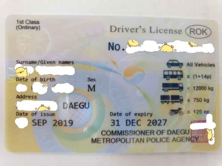 대한민국 영문 면허증 발급방법 국제면허증없이 해외여행중 영문 운전면허증으로 운전 태봉이