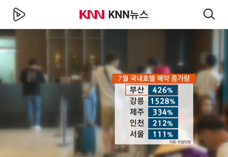  2019년 펜션 사업 불황, 풀빌라펜션과 호텔은 호황