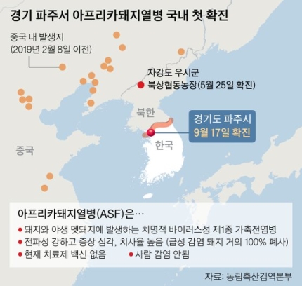  아프리카 돼지열병과 매도의 3원칙