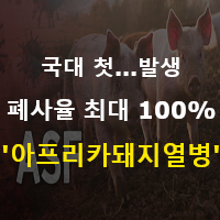  아프리카돼지열병(ASF) 국내 첫 발생...폐사율 100%
